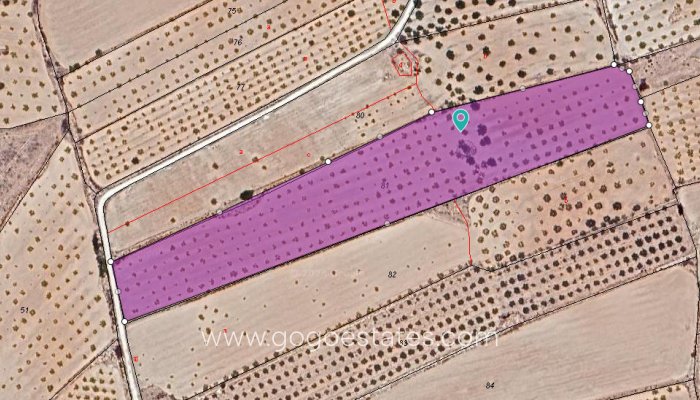 Plot - Land - Resale - Pinoso - Pinoso Centro