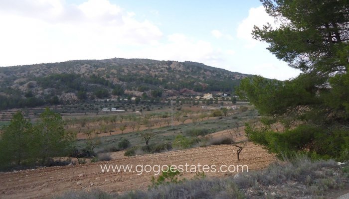 Plot - Land - Resale - Pinoso - Pinoso Centro