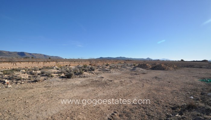 Plot - Land - Resale - Pinoso - Pinoso Centro
