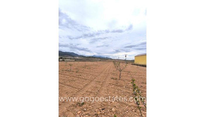 Plot - Land - Resale - Pinoso - Pinoso Centro