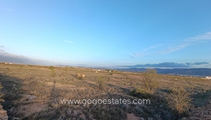 Plot - Land - Resale - Pinoso - Pinoso Centro