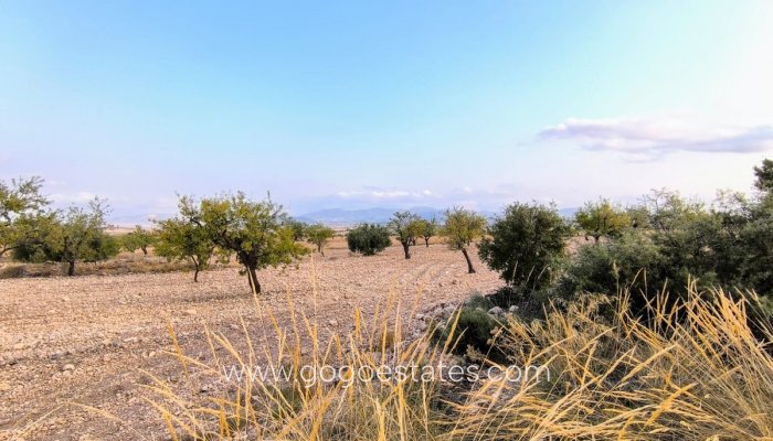 Plot - Land - Resale - Pinoso - Pinoso Centro