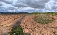 Plot - Land - Resale - Pinoso - RSO-39804