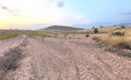 Plot - Land - Resale - Pinoso - RSO-68822