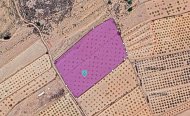 Plot - Land - Resale - Pinoso - RSO-92819