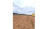 Plot - Land - Resale - Pinoso - RSO-93288