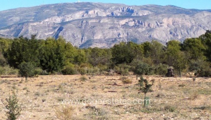 Plot - Land - Resale - Relleu - Relleu Centro