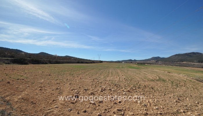 Plot - Land - Resale - Salinas - Salinas Centro