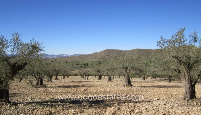 Plot - Land - Resale - Villena - Villena Centro
