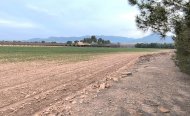 Plot - Land - Resale - Yecla - RSO-72293
