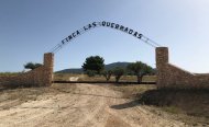 Plot - Land - Resale - Yecla - RSO-85528