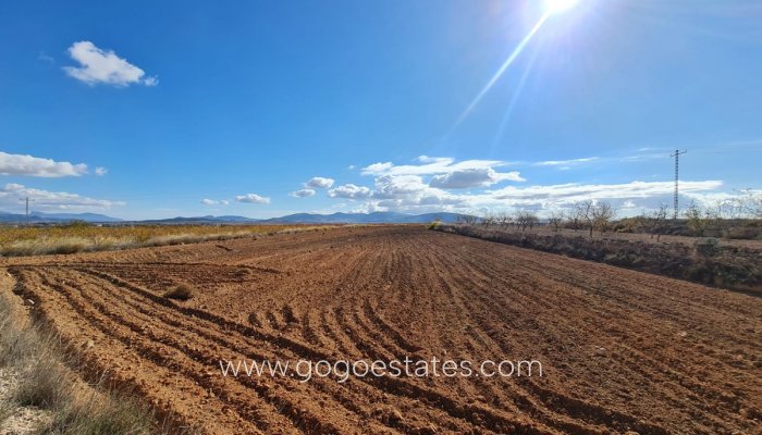 Plot - Land - Resale - Yecla - Yecla Centro