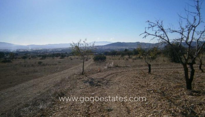 Plot - Land - Resale - Yecla - Yecla Centro
