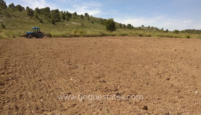 Plot - Land - Resale - Yecla - Yecla Centro