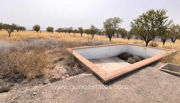 Plot - Land - Resale - Yecla - Yecla Centro