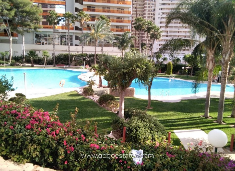Resale - Apartment - Middle Floor Apartment - Benidorm - Benidorm Centro
