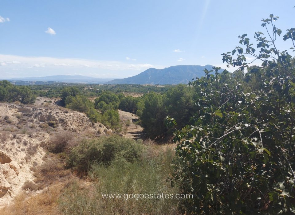 Resale - Casa Cueva - Cuevas del Campo - Granada