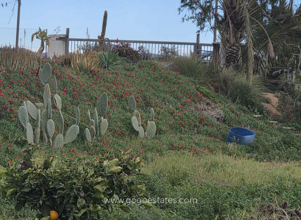 Resale - Finca rústica - Cuevas del Almanzora - Cuevas Del Almanzora