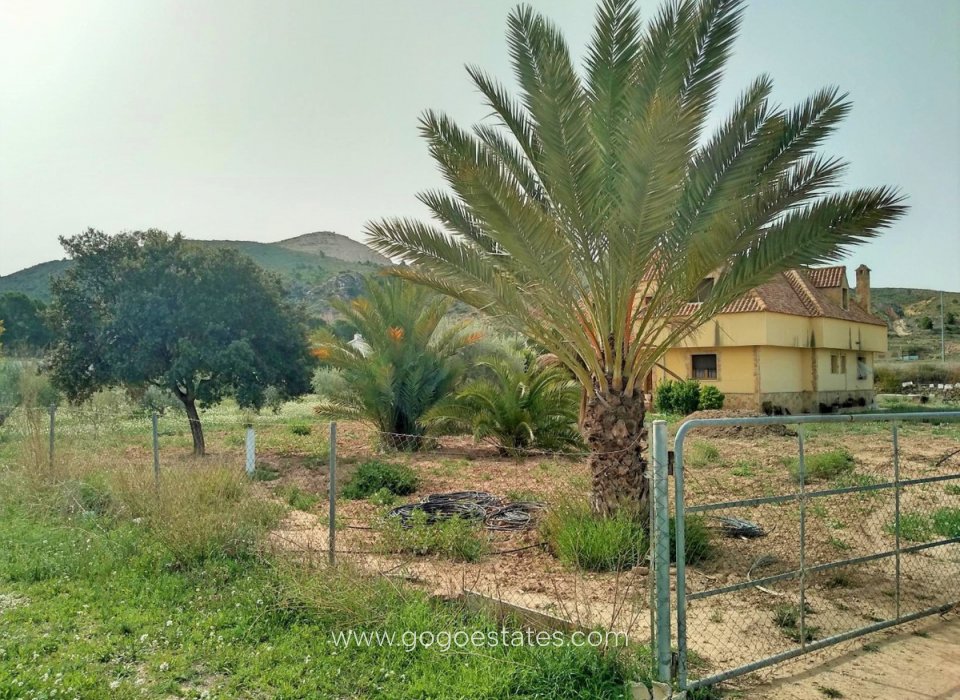Resale - House - Detached Villa - Aspe - Aspe Centro