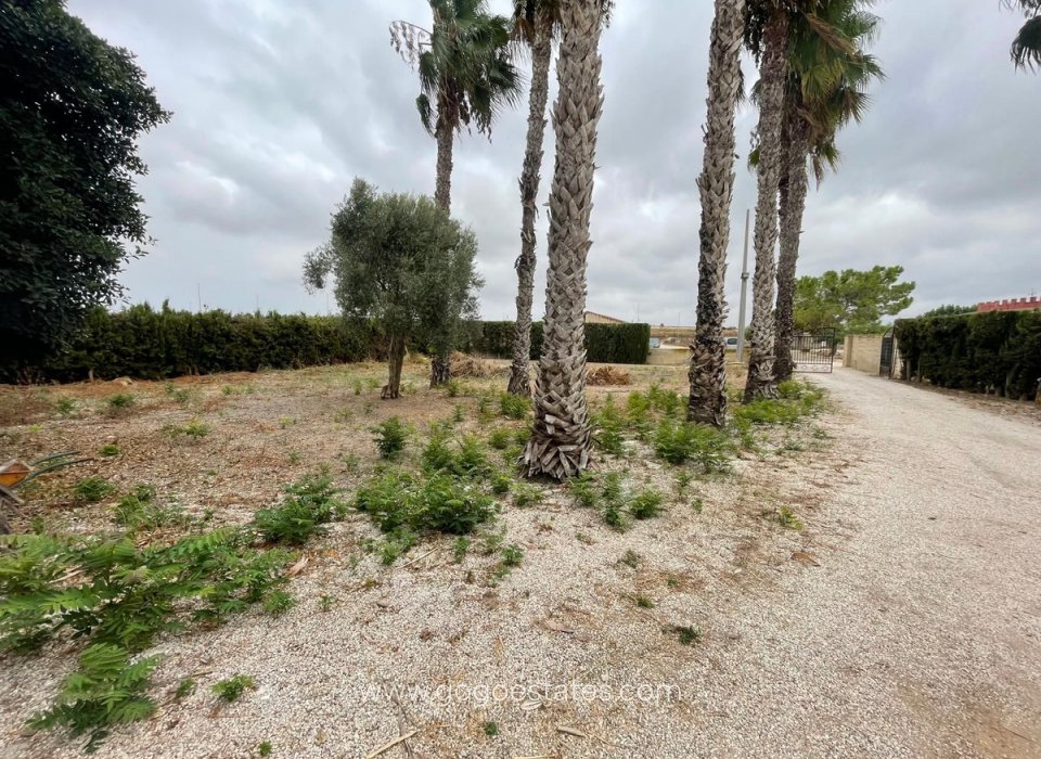 Resale - House - Detached Villa - Benijofar - Daya Vieja Centro