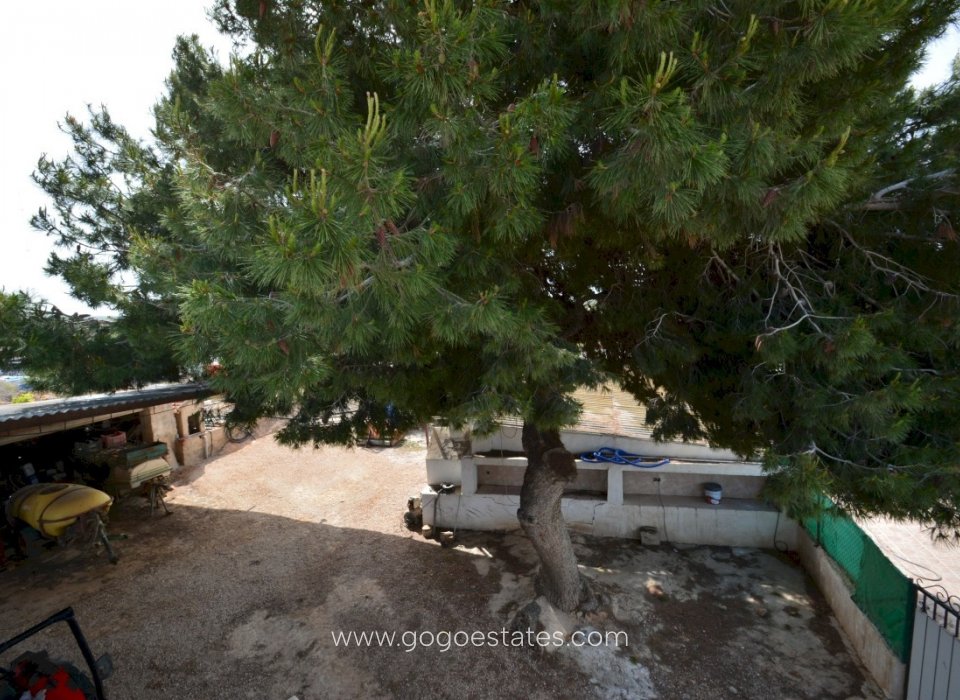 Resale - House - Detached Villa - Guardamar del Segura - Guardamar del Segura Centro