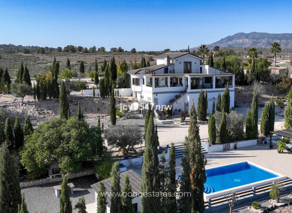 Resale - House - Detached Villa - Pinoso - Pinoso Centro