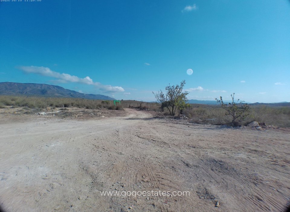 Resale - House - Detached Villa - Pinoso - Pinoso Centro