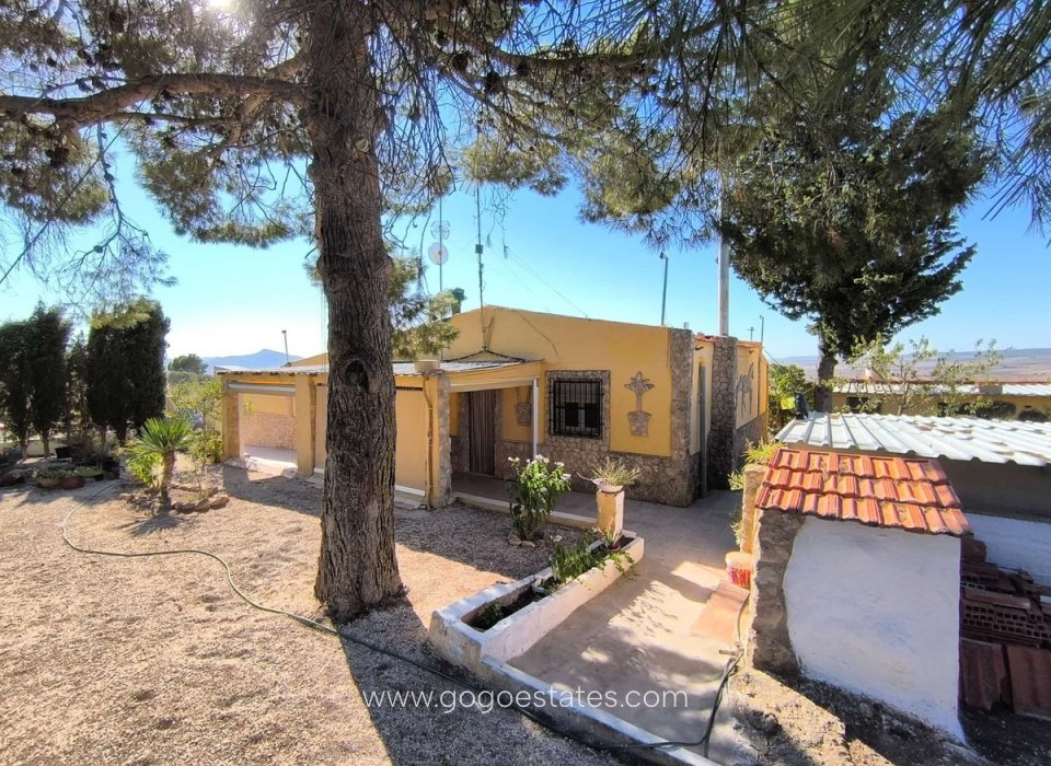 Resale - House - Detached Villa - Yecla - Yecla Centro