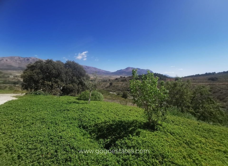 Resale - House - Finca - Cortijo - Chirivel