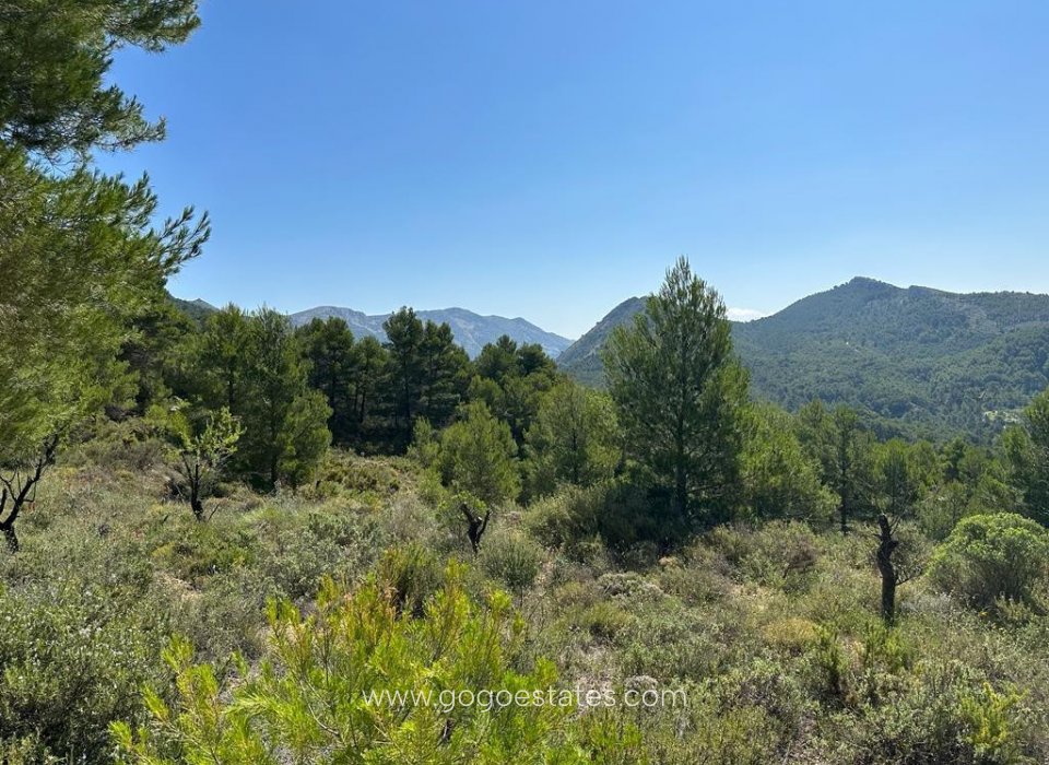 Resale - House - Finca - Cortijo - Confrides - Confrides Centro