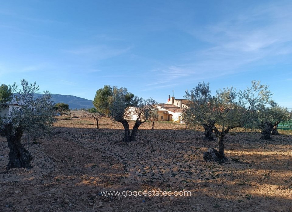 Resale - House - Finca - Cortijo - Yecla - Yecla Centro