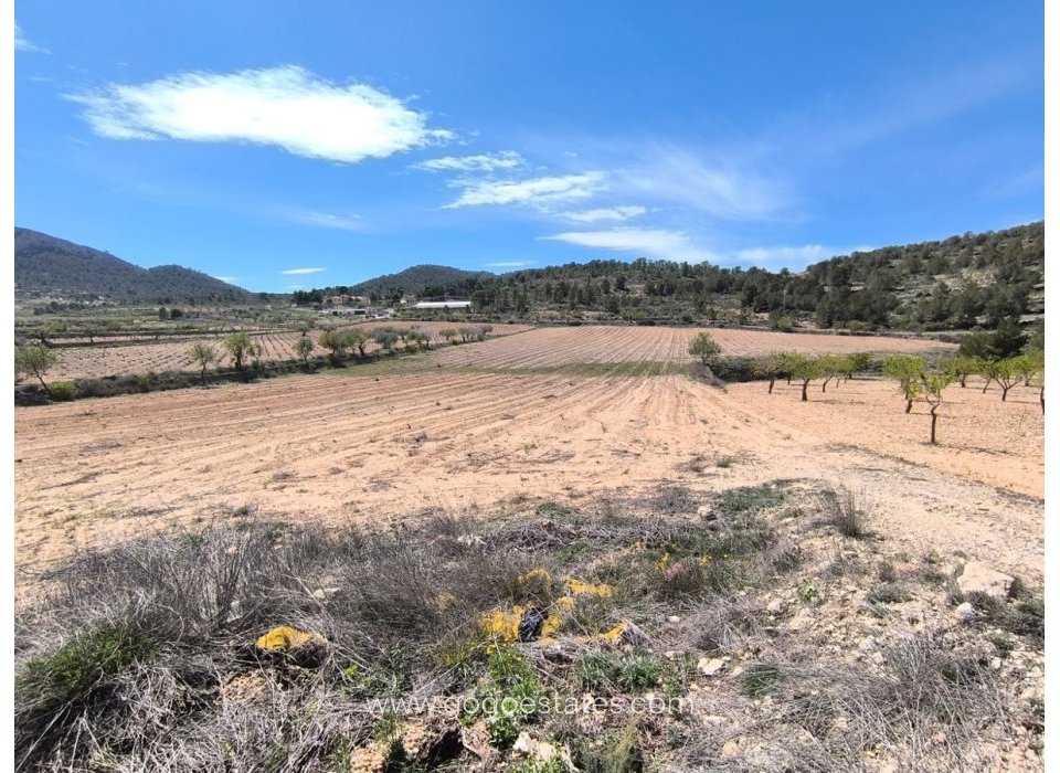 Resale - Parcela - Alquerias