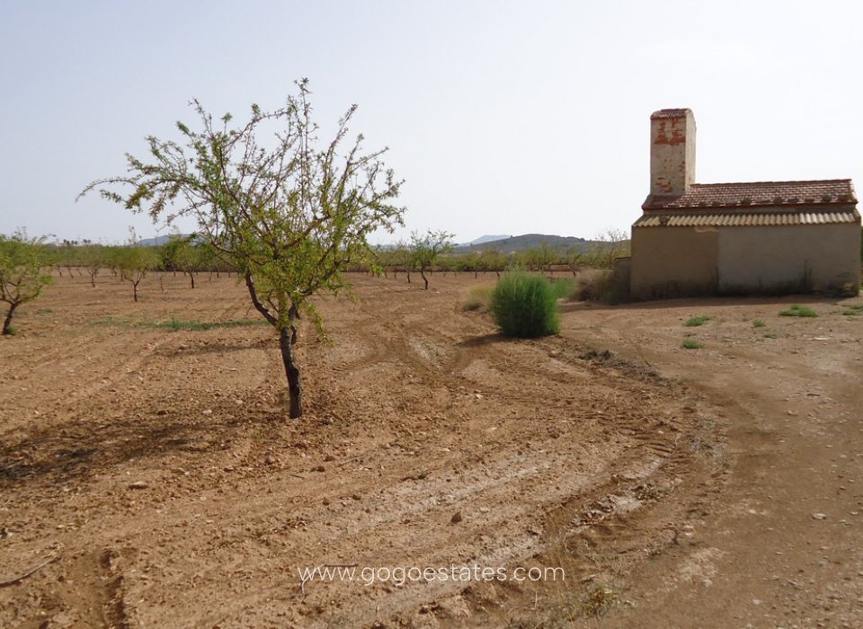 Resale - Parcela - Jumilla - Cañada del Trigo