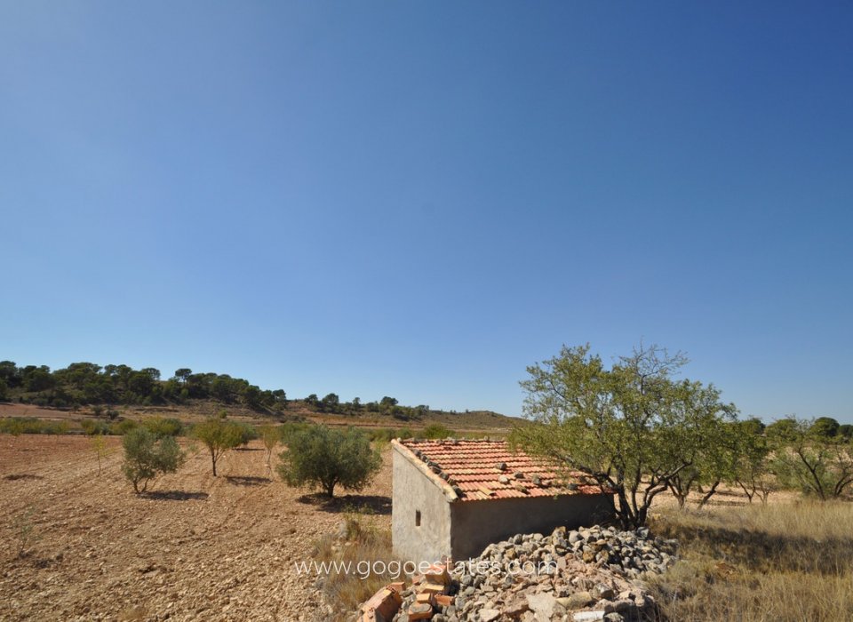 Resale - Parcela - Jumilla - Jumilla Centro