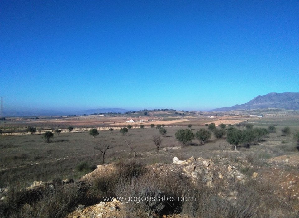 Resale - Parcela - Jumilla - Jumilla Centro