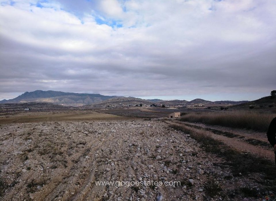 Resale - Parcela - Jumilla - Jumilla Centro