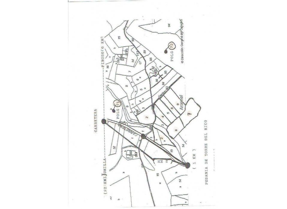 Resale - Parcela - Jumilla - Jumilla Centro