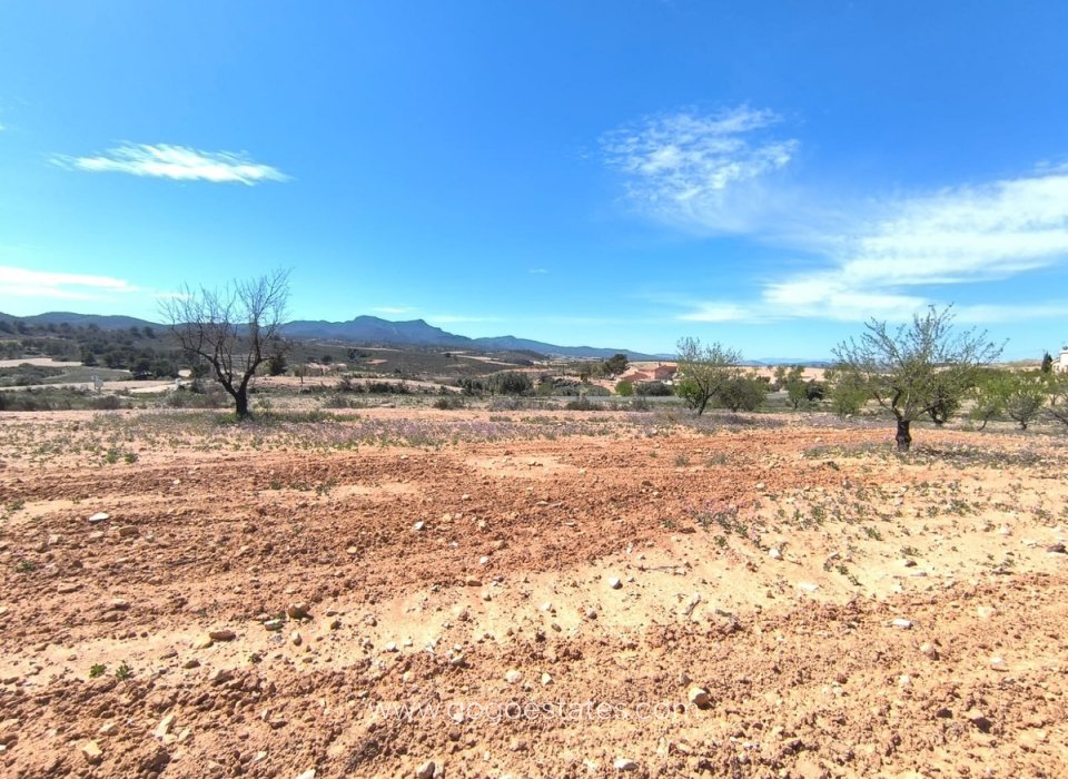 Resale - Parcela - Jumilla - Jumilla Centro