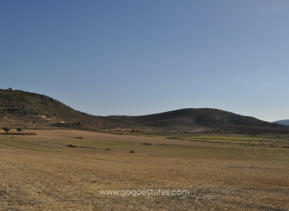 Resale - Parcela - Jumilla - Jumilla Centro