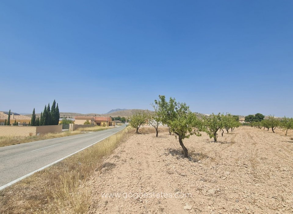 Resale - Parcela - Jumilla - Jumilla Centro