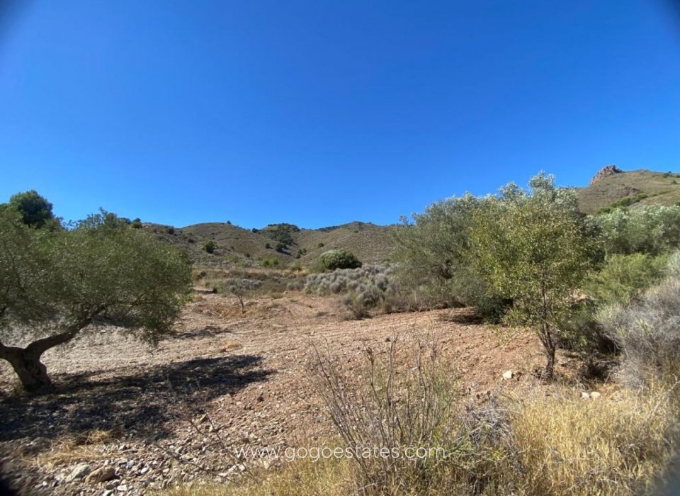 Resale - Parcela - Lorca - La Hoya-Almendricos-Purias