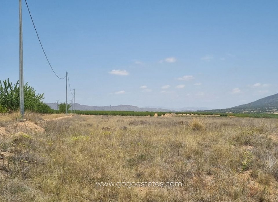 Resale - Parcela - Yecla