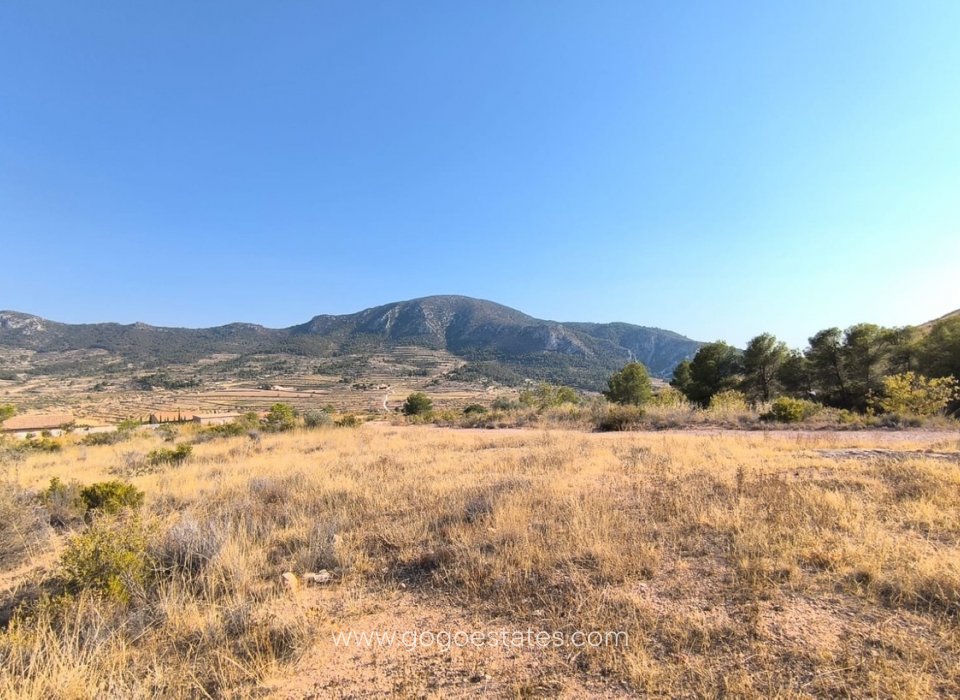 Resale - Plot - Land - Algorfa - Algueña