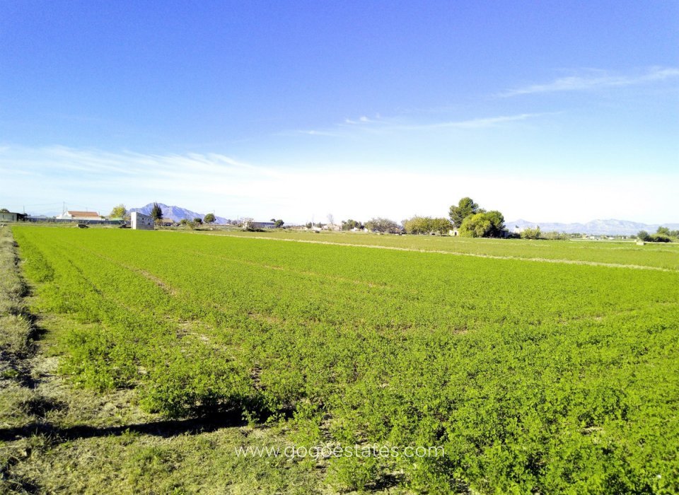 Resale - Plot - Land - Alicante - Dolores Centro