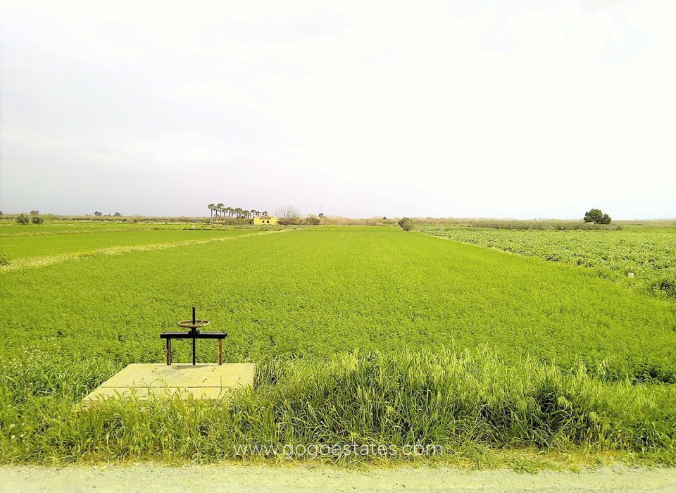 Resale - Plot - Land - Alicante - Dolores Centro