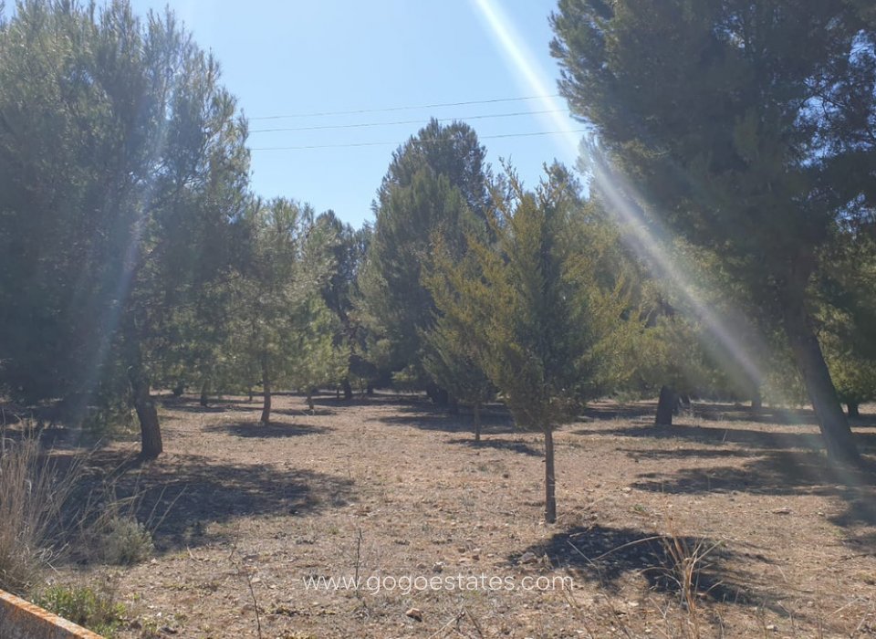 Resale - Plot - Land - Beneixama - Beneixama Centro