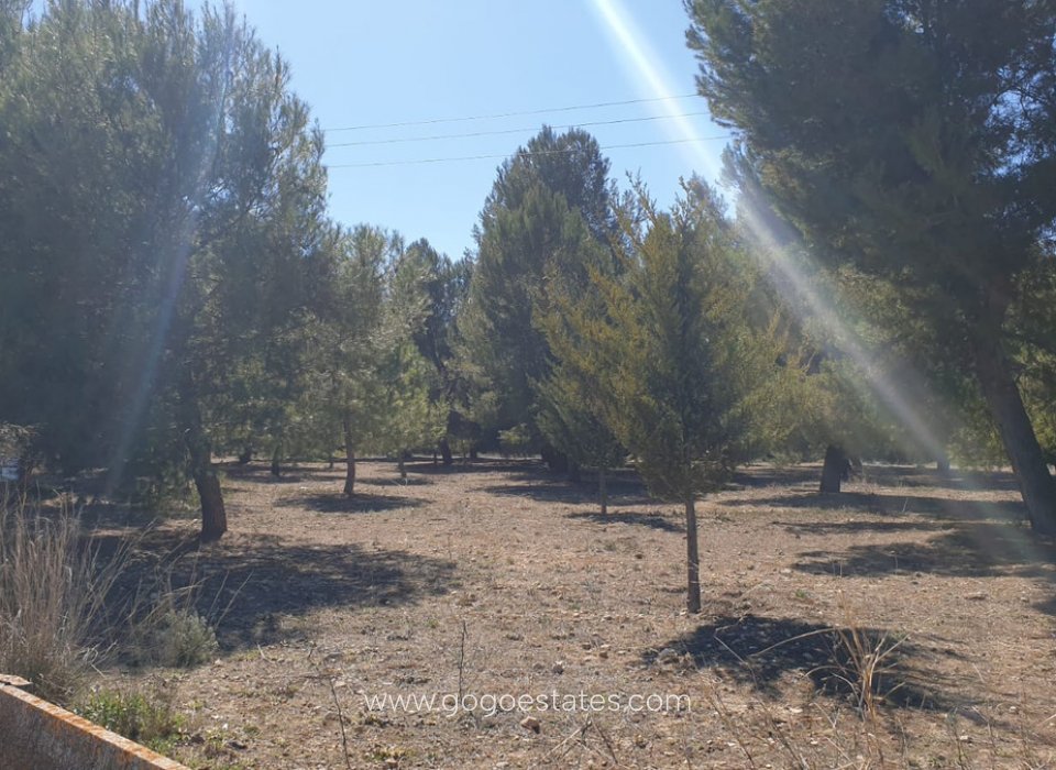 Resale - Plot - Land - Beneixama - Beneixama Centro