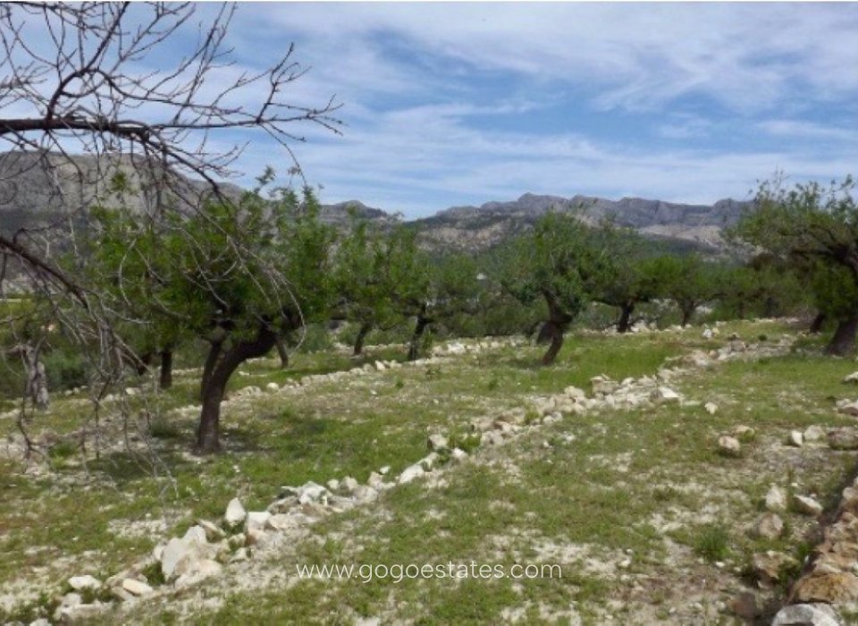Resale - Plot - Land - Callosa d'en Sarria - Callosa d'en Sarria Centro