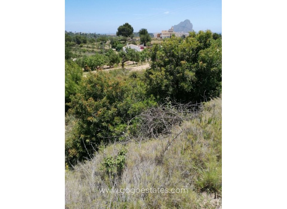 Resale - Plot - Land - Calpe - Calpe Centro