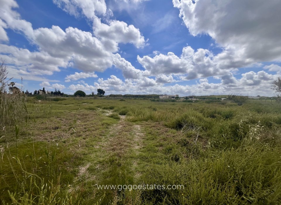 Resale - Plot - Land - Catral - Catral Centro